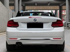 BMW 2 Series (Imported) 2019 225i Convertible Coupe Sports Design Package - фото 4