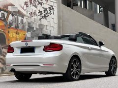 BMW 2 Series (Imported) 2019 225i Convertible Coupe Sports Design Package - фото 5