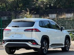 Fenglanda 2.0L CVT sports version - фото 4