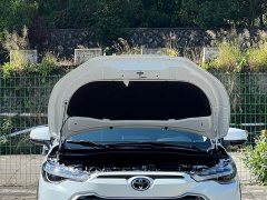 Fenglanda 2.0L CVT sports version - фото 8