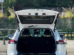 Fenglanda 2.0L CVT sports version - фото 9