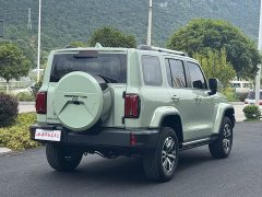 Tank 300 2021 City Edition 2.0T Very Stylish - фото 4