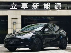 Tesla Model Y long-range all-wheel drive version - фото 1