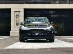 Tesla Model Y long-range all-wheel drive version - фото 3
