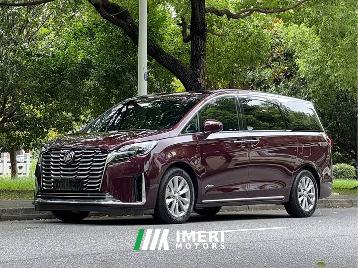 Buick GL8 2023 Avenir Six-seater Xianli Edition