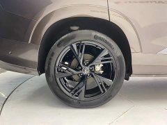 Audi Q6 2023 50 TFSI quattro Lingyun edition one - фото 11