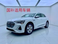 Audi e-tron 2021 50 quattro luxury - фото 1