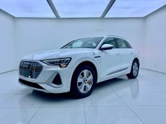 Audi e-tron 2021 50 quattro luxury - фото 2