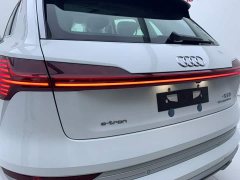 Audi e-tron 2021 50 quattro luxury - фото 9