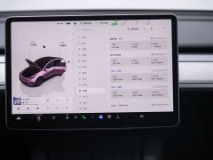 Tesla Model Y rear-wheel drive version - фото 16