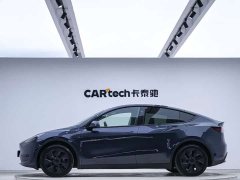 Tesla Model Y rear-wheel drive version - фото 2