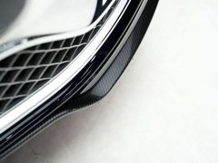 4.0T V8 Mulliner - фото 10