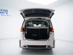 Trumpchi M8 Master Series 390T Extreme Edition - фото 8