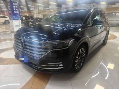 Ora Weiran 380TSI Premium Edition - фото 1