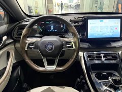BYD Qin PLUS Champion Edition DM-i 55KM Leading Type - фото 8
