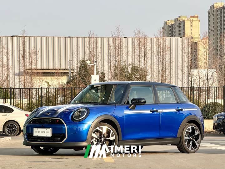 MINI 2.0T COOPER S Artist Five-Door Edition