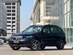 BMW X5 xDrive 30Li Exclusive M Sports Night Package - фото 1