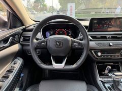 Ruicheng CC Blue Whale Edition 1.5T DCT Premium Type - фото 14