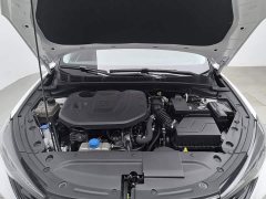 Ford EADO PLUS Blue Whale NE 1.4T GDI DCT Premium Type - фото 6