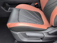 Ford EADO 2022 PLUS Blue Whale NE 1.4T GDI DCT Premium Edition - фото 20