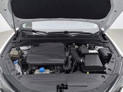 Ford EADO 2022 PLUS Blue Whale NE 1.4T GDI DCT Premium Edition - фото 6