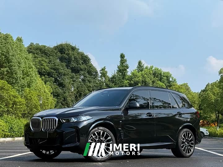 BMW X5 xDrive 40Li M Sports Night Package - автомобиль из Китая