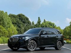 BMW X5 xDrive 40Li M Sports Night Package - фото 1