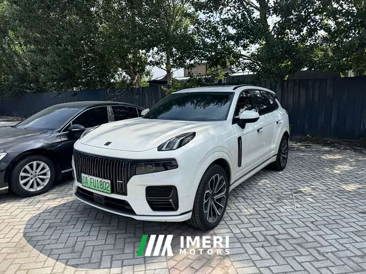 Lynk & Co 09 EM-P 2025 2.0TD EM-P four-wheel drive Max five seats - автомобиль из Китая