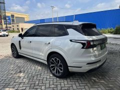 Lynk & Co 09 EM-P 2025 2.0TD EM-P four-wheel drive Max five seats - фото 8