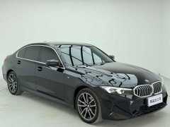 BMW 3 320Li M - фото 3