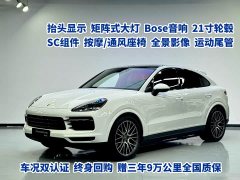 Porsche Cayenne 2022 Cayenne Coupé 3.0T Platinum Edition - фото 1