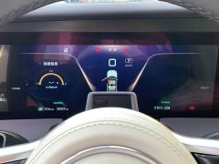 Hongqi E-HS9 660km flag collar version four seats - фото 15