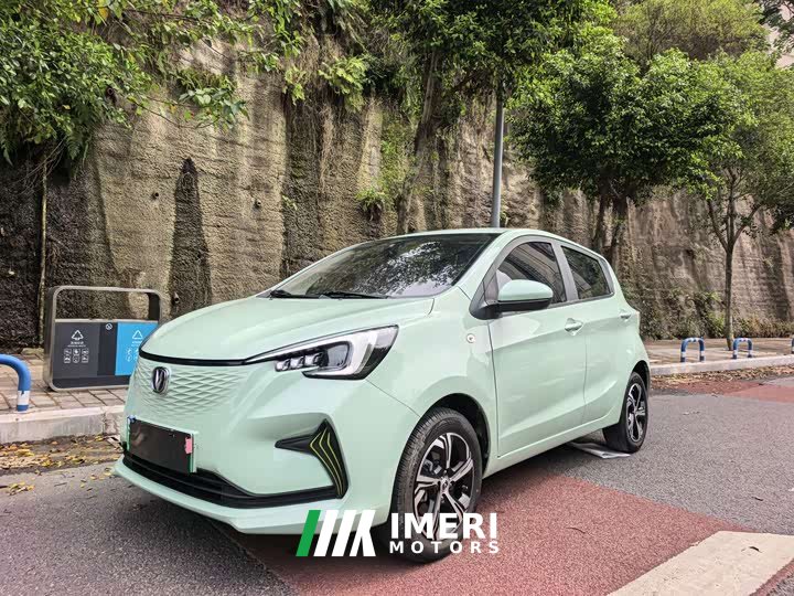 Changan Benben E-Star 2022 Enjoyable Version Colorful Version Lithium Iron Phosphate