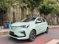 Changan Benben E-Star 2022 Enjoyable Version Colorful Version Lithium Iron Phosphate - фото 1