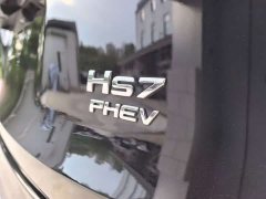 Hongqi HS7 PHEV 2.0T PHEV four-wheel drive Qichang version 6 seats - фото 11