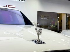 Lexus Cullinan 2024 Four-Seater - фото 16