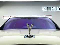 Lexus Cullinan 2024 Four-Seater - фото 17