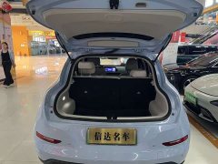 Ora Euler Good Cat 2022 Morandi Edition 400km standard battery life Two-week young luxury Lithium Iron Phosphate - фото 12