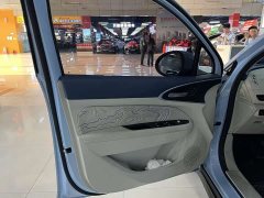 Ora Euler Good Cat 2022 Morandi Edition 400km standard battery life Two-week young luxury Lithium Iron Phosphate - фото 4
