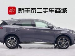 BYD Tangxin Energy 2021 DM-i 112KM Honor Type - фото 3