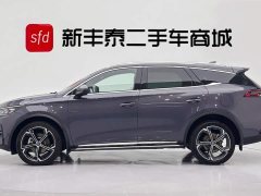 BYD Tangxin Energy 2021 DM-i 112KM Honor Type - фото 4