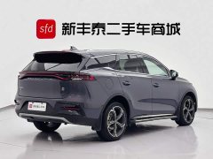 BYD Tangxin Energy 2021 DM-i 112KM Honor Type - фото 5