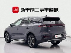 BYD Tangxin Energy 2021 DM-i 112KM Honor Type - фото 6