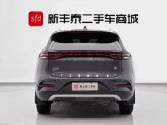 BYD Tangxin Energy 2021 DM-i 112KM Honor Type - фото 7