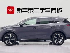 BYD Tangxin Energy DM-i Champion Edition 112KM Premium Type - фото 4