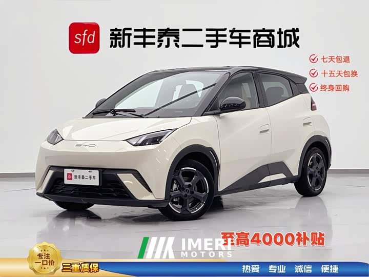 BYD Seagull Honor Edition 305km Free Edition - автомобиль из Китая