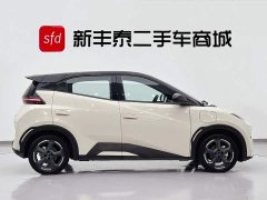 BYD Seagull Honor Edition 305km Free Edition - фото 3