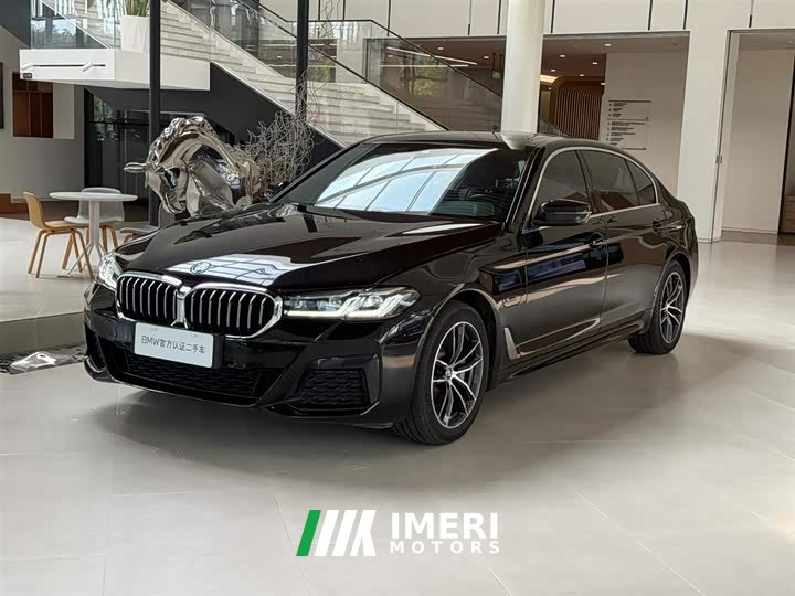 BMW 5 Series New Energy 535Le M Sports Package - автомобиль из Китая