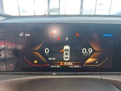 Ford EADO PLUS Blue Whale NE 1.4T GDI DCT flagship - фото 12