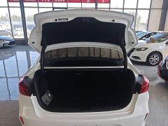 Ford EADO PLUS Blue Whale NE 1.4T GDI DCT flagship - фото 19